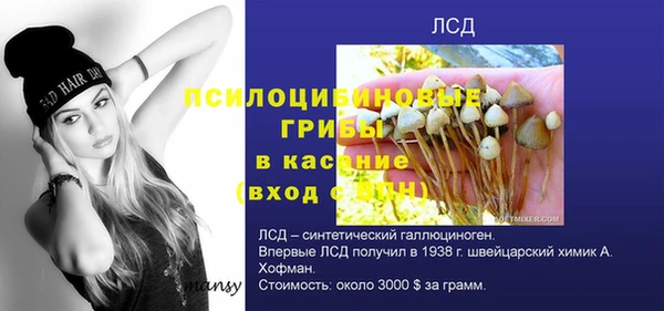 стаф Горнозаводск