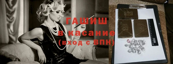 индика Дмитров