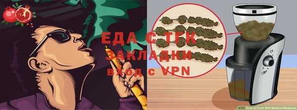 индика Дмитров