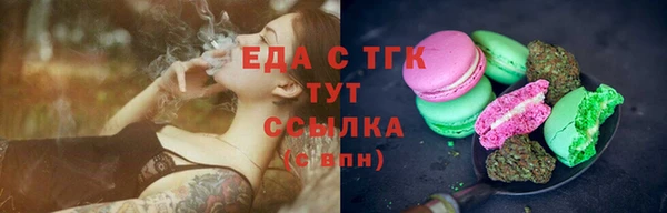 соль ск Дмитриев
