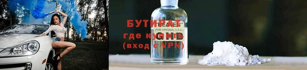 индика Дмитров