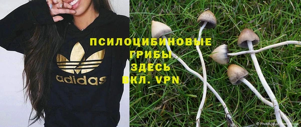 стаф Горнозаводск