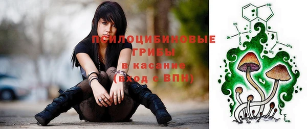 стаф Горнозаводск